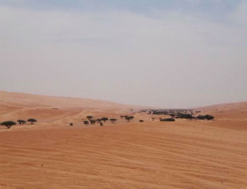Oman, il deserto sabbioso di Wahiba